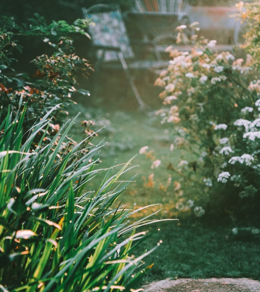 beautiful garden